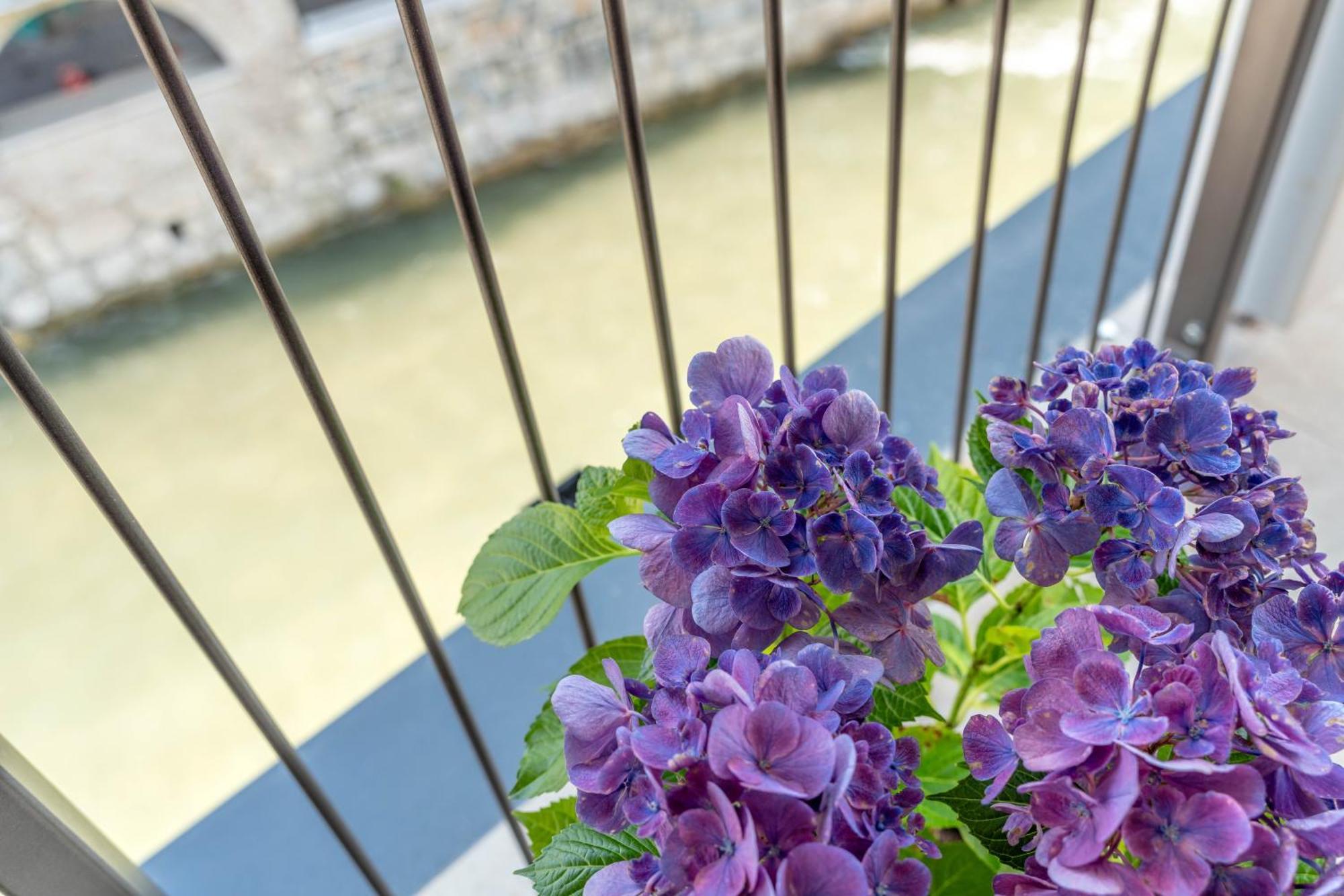 Апартаменти Luxury 2Br W/ River Castle View In Borgo Valsugana Екстер'єр фото